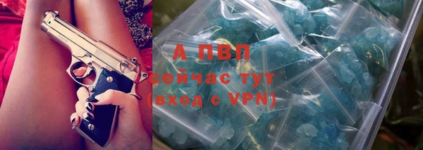 стафф Володарск