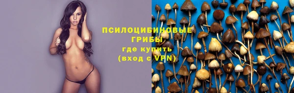 apvp Волосово