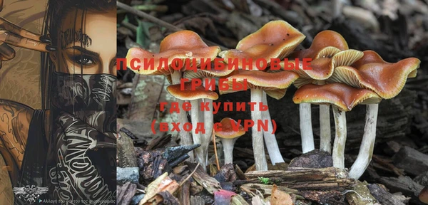 стафф Володарск
