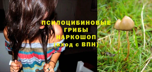 стафф Володарск