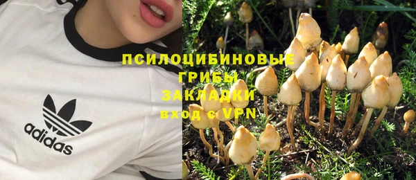 стафф Володарск