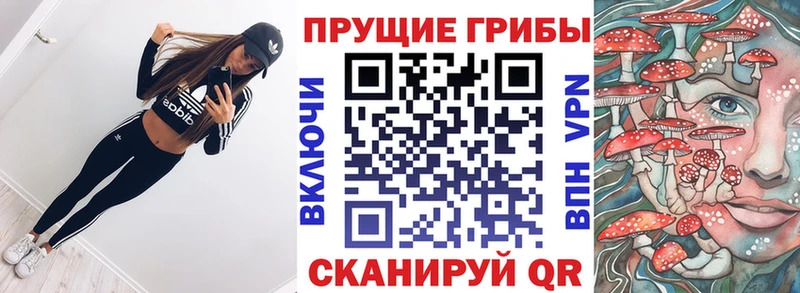 Купить где  Эртиль  Псилоцибиновые грибы GOLDEN TEACHER 